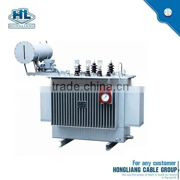 Factory Supply Best Brand 3 Phase Hermetically Seal 110Kv Oil-Filled Voltage Transformer photo-4