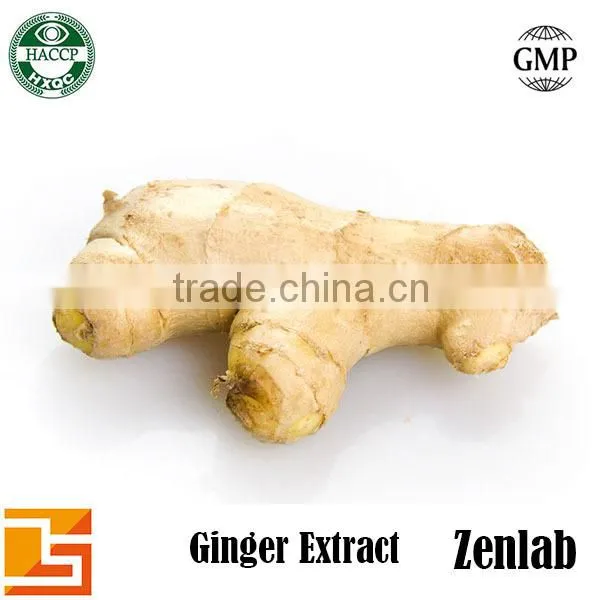 High Quality Gingerol Ginger Extract Ginger Root Powder photo-5