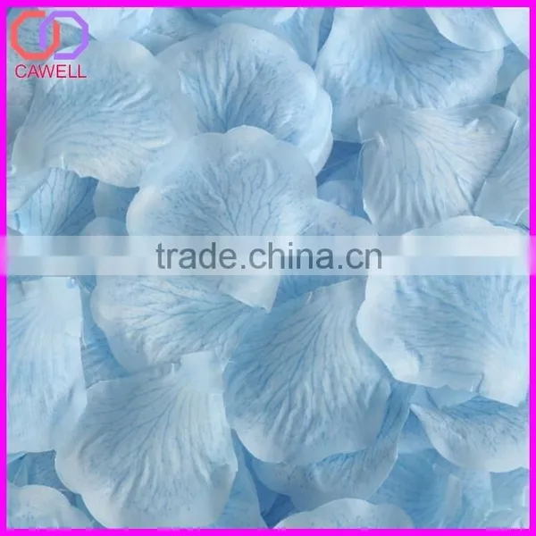 Ombre Rose Petal photo-2