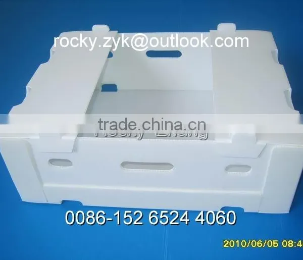 Best Corrugated Plastic Package Box for Banana Packing Carton photo-6