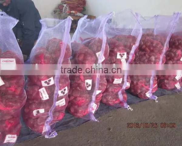 Chestnuts for Sale 40-60 photo-3