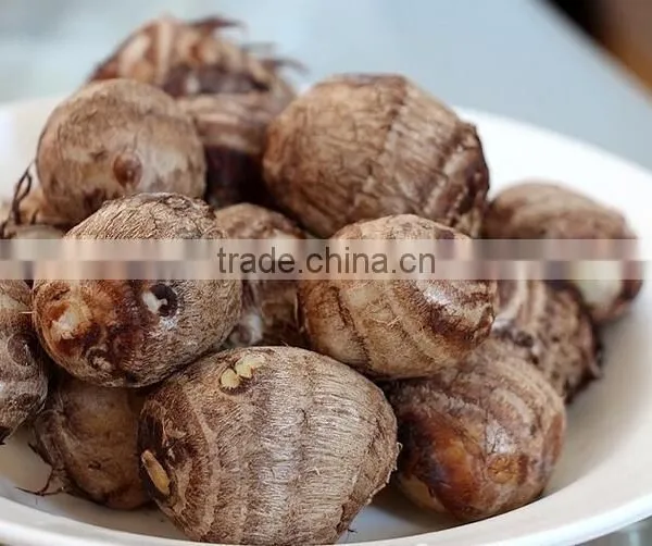 Rice Reaper Taro photo-5