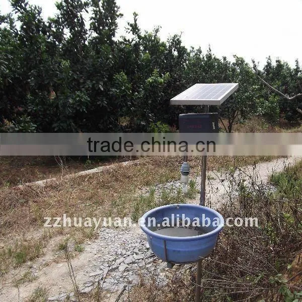 2015 GuanXi High Quality Fresh Pomelo photo-3