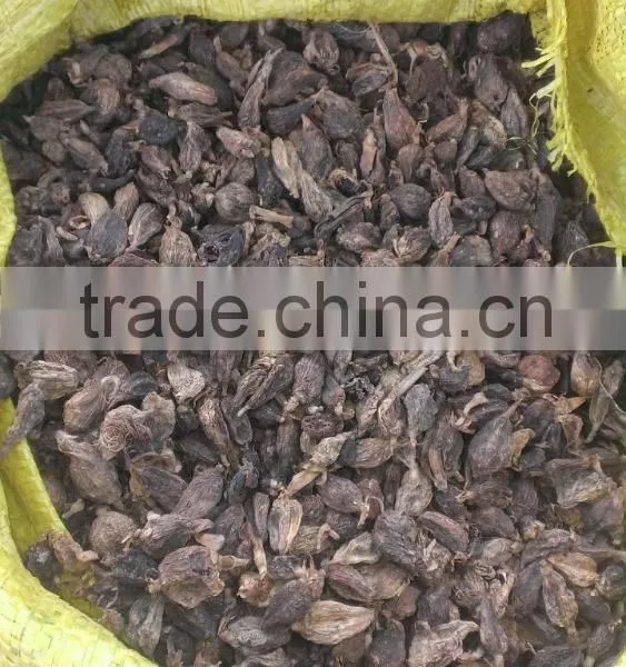 Black Cardamom From Viet Nam photo-2