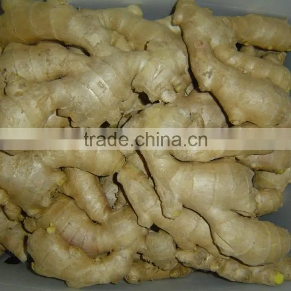 Chinese Fresh Ginger photo-6