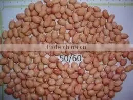 Wholesale Peanuts photo-2