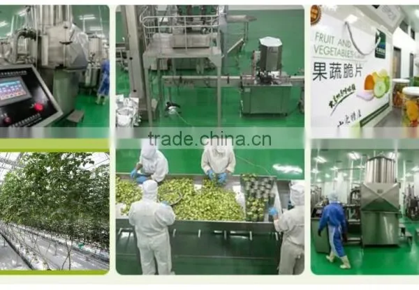 Vacuum Fried Sweet Potato Chips, vf Vegetables photo-5