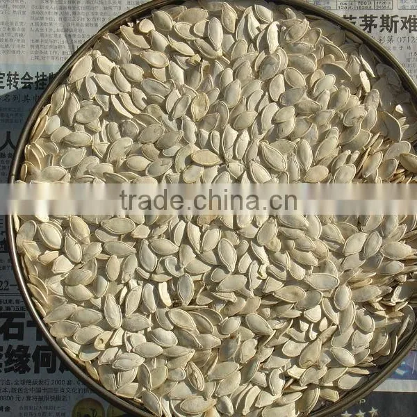Shine-skin Pumpkin Seeds for Wholesale From China photo-5
