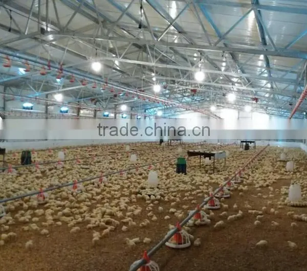 Eonomical Commercial Steel Frame Broiler Chicken House