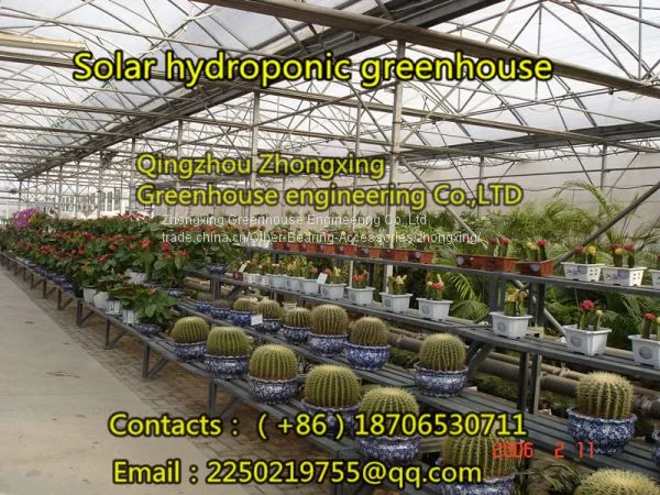 Grass Greenhouse, We Are Professional！ photo-2