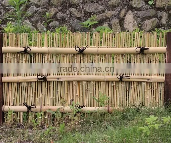 FD70301 Newest Styles of Bamboo Fence photo-5