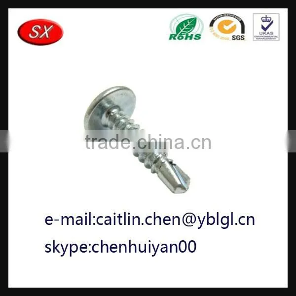 Dongguan Hardware Factory Custom Steel Screw photo-4