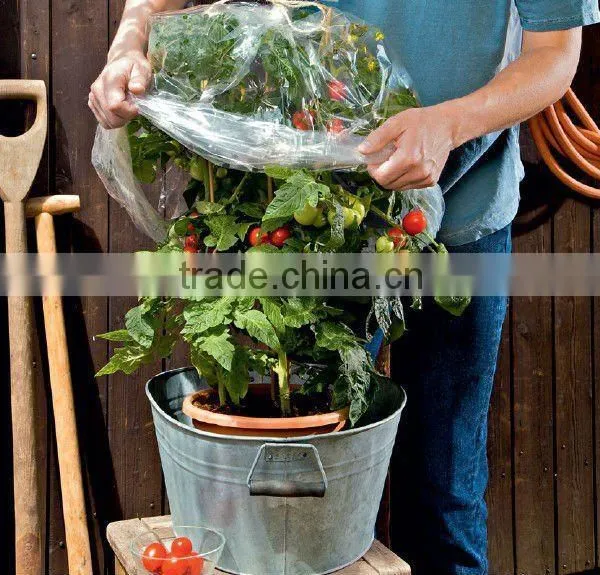 PE Agricultural Tomato Tube Green House With Holes photo-4