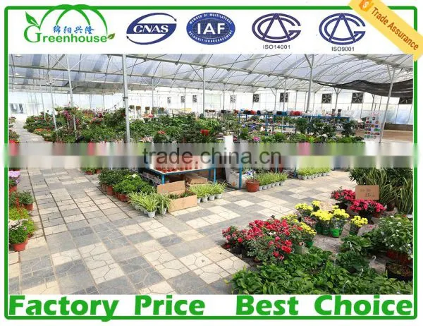 200 Micron UV Resistant Multi Span Plastic Film Agricultural Commercial Greenhouse photo-5
