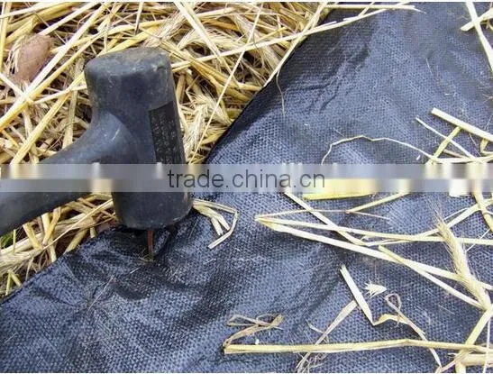 Greenhouse Garden Ground Cover Polypropylene Price photo-3