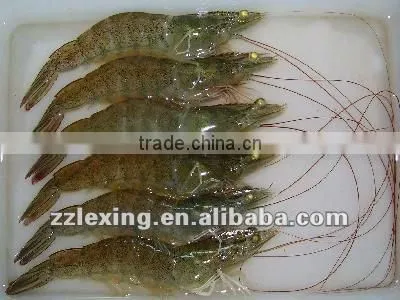 Frozen Vannamei Shrimp