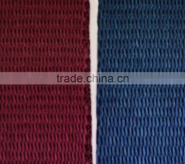 Multi Dyed Color NYLON Webbing Strap for Lanyard, High Quality Lanyard Webbing, Printing Available Nylon Webbing photo-6