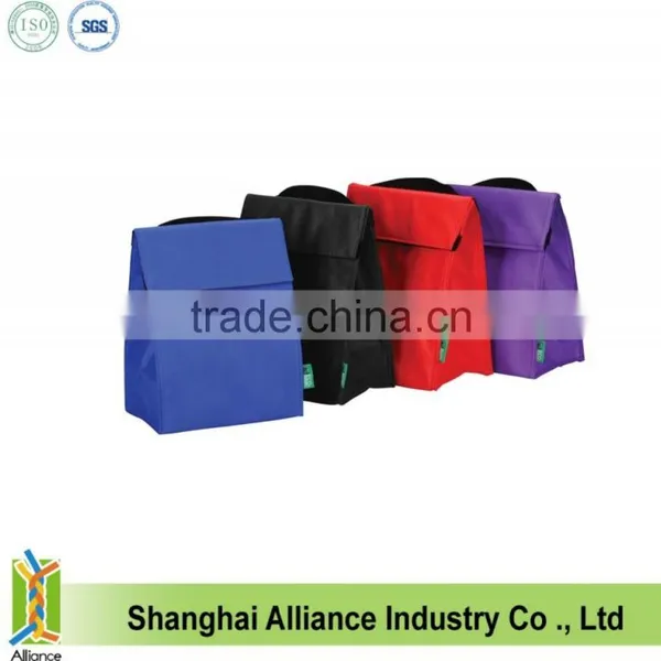 US Market Promotion Insulated Cooler Bag, Thermal Lunch Cooler Bag, Picnic Cooler Bag photo-5