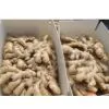 Air Dry Ginger in Cartons