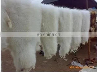 Cheap Raccoon, Raccoon Fur for Women's Clothing photo-4