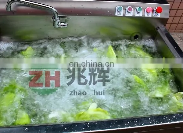 Hot Sale Ultrasonic Grape Cherry Peach Fruit and Vegetable Cabbage Lettuce Cleaner photo-7
