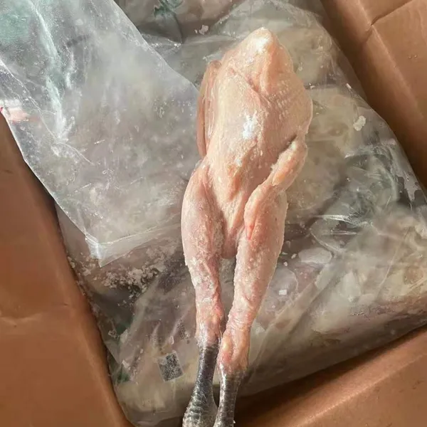 Low Price Black Feet Frozen Whole Raw Chicken