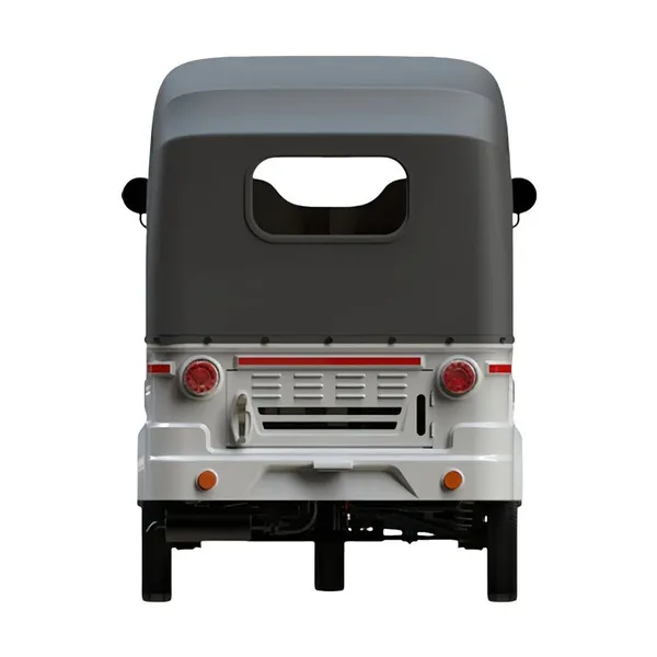 Hot Selling Indian Style Tuktuk Passenger Motortricycle 3 Wheeler 3-Wheel Gas Moped Scooter 200cc Engine Water Cooling With Passenger Carriage and Rain Canvas photo-2