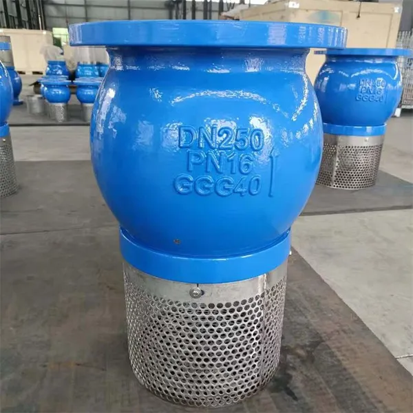 Flanged End Foot Valve With 1-Year Warranty ASTM A536 Body & SS304 Parts photo-3