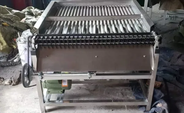 Genyond Factory Industrial Green Bean Pigeon Pea Peeling Equipment Peeling Machine Peeler photo-3