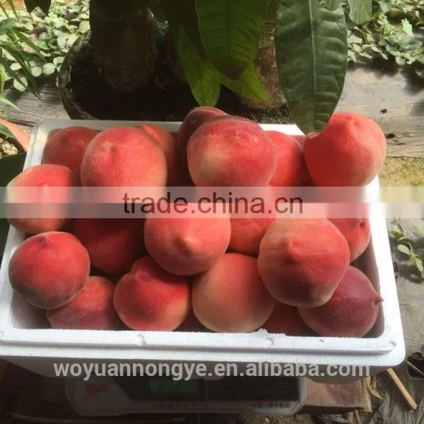 Fresh Peach