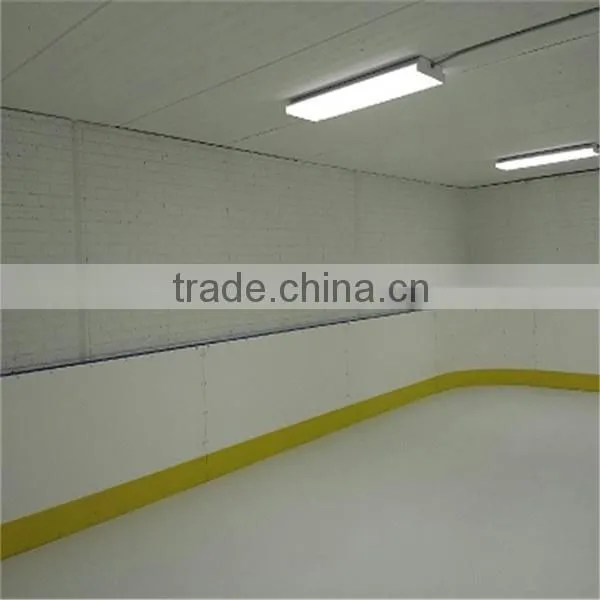 Indoor Hockey Flooring/the Rinks Ice Skating/floor Ball photo-4