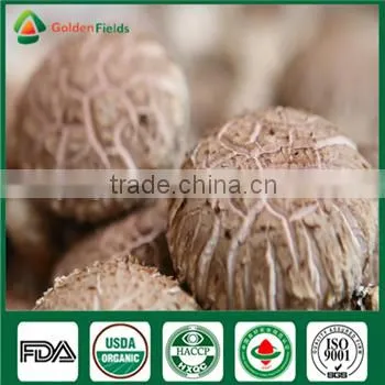 How to Grow Mushroom Shiitake Mushroom Culture Mushroom Plant Growing Kit Log Edible Mushrooms photo-3