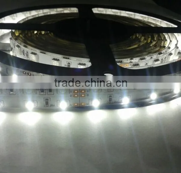 New Arrival! 5050 12v 30leds/60leds Rgbw LED Tape/LED Strips Made in China photo-3