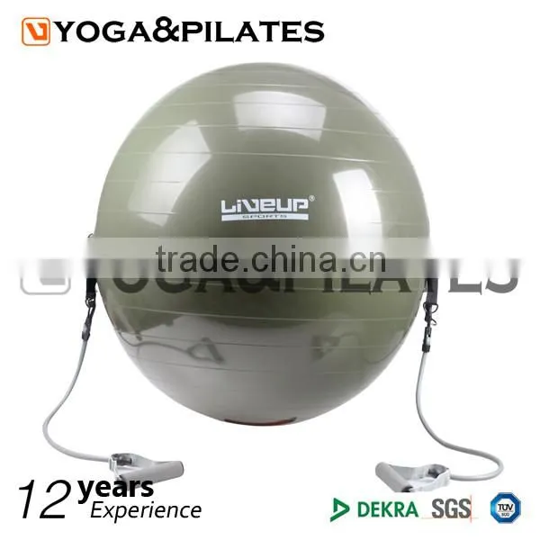 Gym Balance Ball With Expander