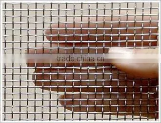 Wholesale Anping Galvanized Square Wire Mesh photo-4