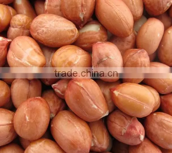Blanched Peanut