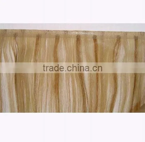 Skin Weft Human Hair Extension/hair/wigs/hair Extension