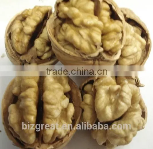 New Crop Bulk Walnut in Thin Shell for Sales photo-6