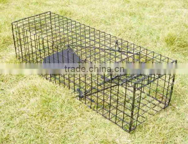 Single Door Raccoon Cage Trap