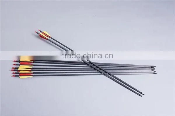 Archery Carbon Fiber Arrows With Plastic Vanes Fit For Compound Bow photo-4