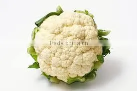 CAULI FLOWER