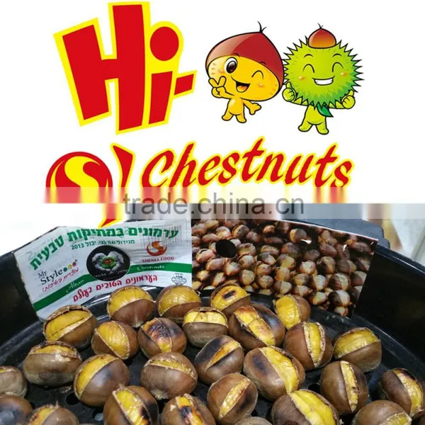 New Crop Fresh Chestnut Wholesale Price photo-4
