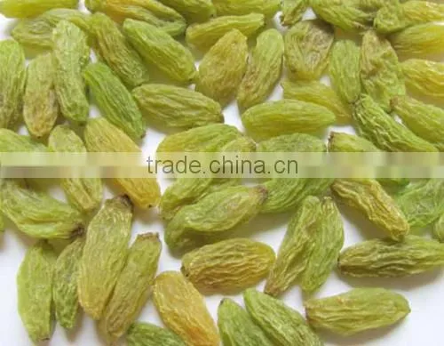 Chinese Dried Raisin photo-2