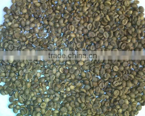 UNWASHED ROBUSTA GREEN COFFEE BEANS GRADE 1 SCREEN 18 photo-4