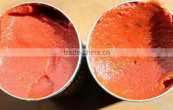 Bulk Tomato Paste Tomato Sauce Reasonable Price Canned Tomato Paste