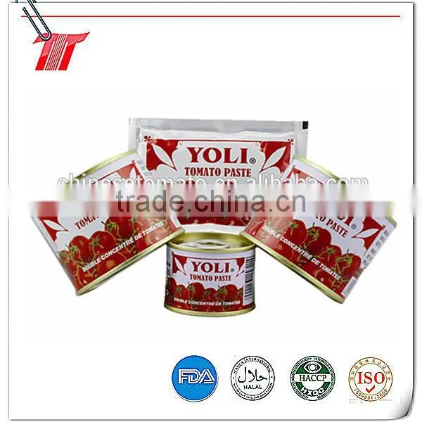 Double Concentrated Sachet Tomato Paste OF YOLI Brand With Low Price photo-2