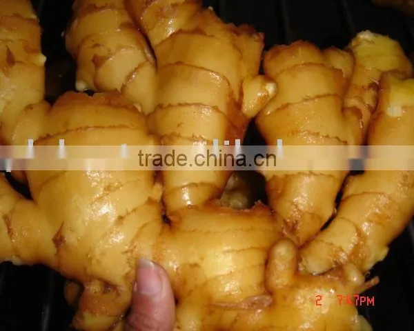 Chinese Fresh Ginger photo-6