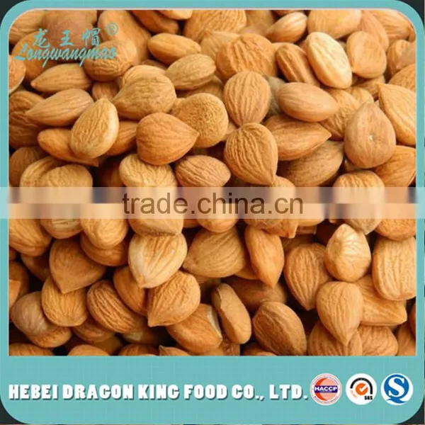 Apricot Kernel