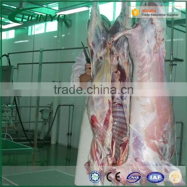 HALAL Automatic Sheep Conveying System Slaughtering Machine Of Sheep Abattoir Equipment photo-3