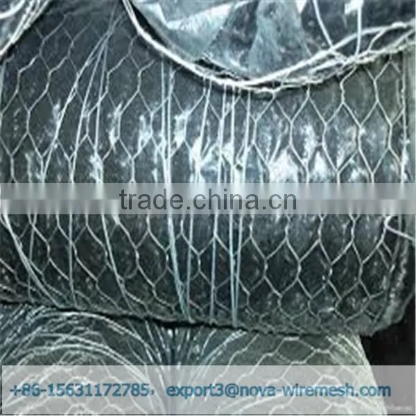 Low Cost Hexagonal Netting /chicken Wire Mesh/ Poultry Hexagonal Netting for Sale photo-4